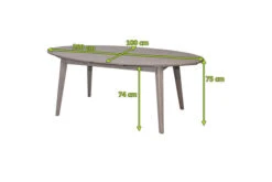 Ploß Arendal Diningtisch, Grau, FSC-Akazienholz, 200x100cm, Oval -Kettler Verkäufe 21641 5.jpg