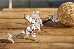 OUTFLEXX Vail Loungemöbel, Weiß/natur/actionlinen, Alu/FSC-Teakholz/Sunbrella, Für Bis Zu 7 Personen, Seitenablagen Aus Teak -Kettler Verkäufe 22547 10.jpg