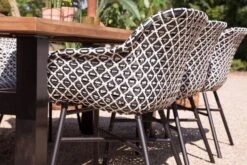 HARTMAN Delphine Armlehnensessel, Schwarz/weiß, Alu/Kunststoff -Kettler Verkäufe 3 18696.jpg