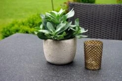 Ploß Rocking Dining Tisch, Grau/braun-meliert, Polyrattan, 90 X 90 Cm, Glasplatte In Steinoptik -Kettler Verkäufe 4 20156.jpg