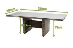 Ploß Rabida Dining Tisch, Champagner-meliert, Polyrattan, 220 X 100 Cm, Glasplatte In Steinoptik -Kettler Verkäufe 5 20161.jpg